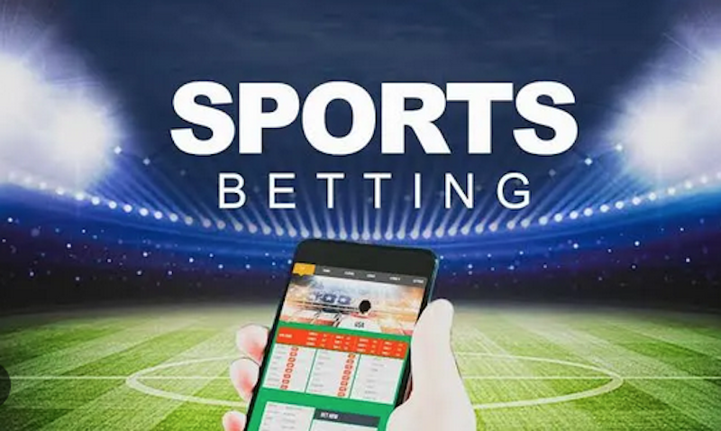 The Ultimate Guide to Safibets Your Gateway to Online Betting