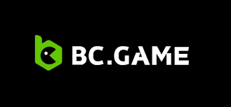 Tout ce que vous devez savoir sur le Casino BC.Game France